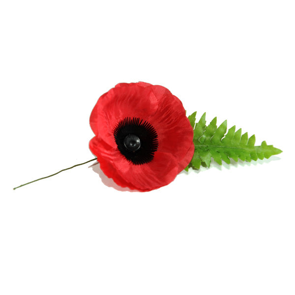 Prova - Natural Born Humans Store